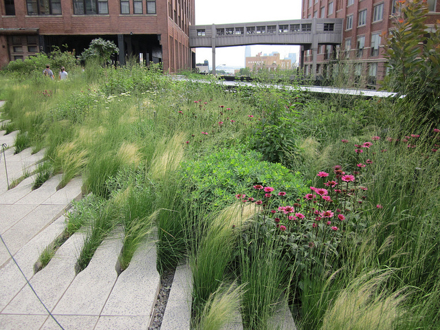 High Line (Piet Oudolf) - Manhattan NY {juli 2012} współcześni architekci krajobrazu