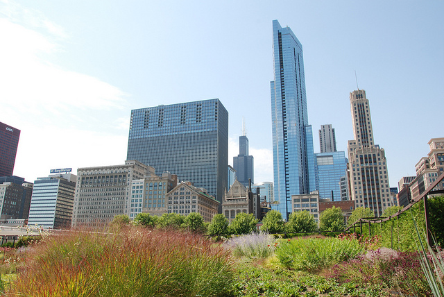 Piet Oudolf - Millennium Park Chicago IL współcześni architekci krajobrazu