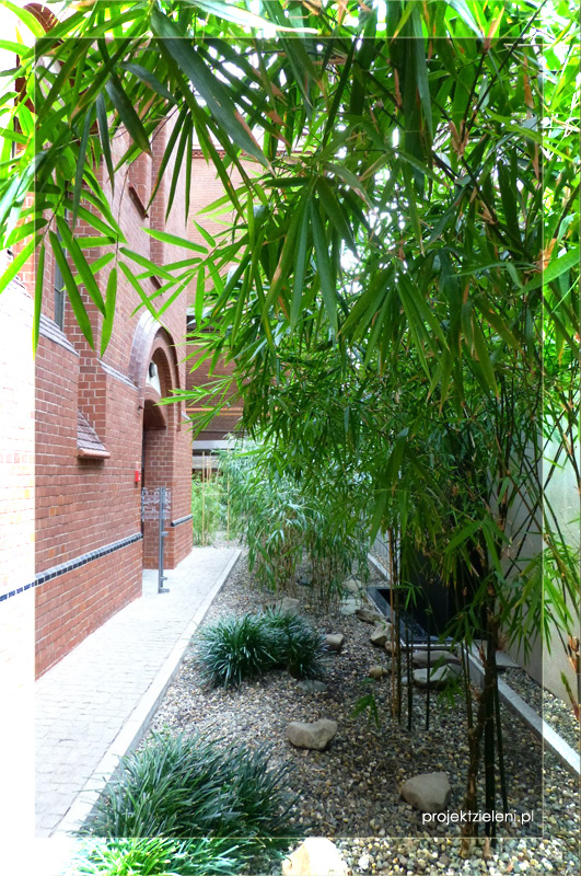 Bambusy we wnętrzach-w-holu-głównym-akademii-muzycznej